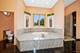 13100 Fox, Lemont, IL 60439