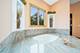 13100 Fox, Lemont, IL 60439