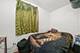 1351 W 47th, Chicago, IL 60609