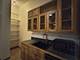 1532 W 19th Unit 1, Chicago, IL 60608