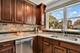 347 Yorkshire, Mundelein, IL 60060