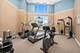 300 Village Unit 505, Willow Springs, IL 60480