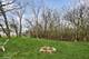 228 E 55th, Westmont, IL 60559