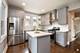 1234 Edmer, Oak Park, IL 60302
