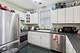 1140 W Barry, Chicago, IL 60657