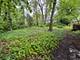 49 Golden Larch, Naperville, IL 60540