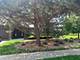 18040 Royal Oak Unit 2, Tinley Park, IL 60477