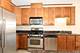 4330 N Neva Unit 411, Norridge, IL 60706