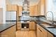 456 E Oakwood Unit 3, Chicago, IL 60653