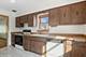 10032 Minnick, Oak Lawn, IL 60453