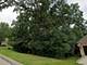 1033 Rosewood, Carpentersville, IL 60110