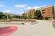 14 S Prospect Unit 313, Roselle, IL 60172