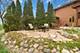 1422 Kirkwall, Inverness, IL 60010