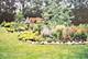 1422 Kirkwall, Inverness, IL 60010