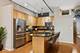 520 S State Unit 1103, Chicago, IL 60605