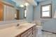 1103 S Belmont, Arlington Heights, IL 60005
