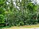 7402 Forest Oak, Mchenry, IL 60050