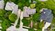 1260 Radford, Aurora, IL 60502