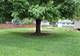 820 Geraldine, Marengo, IL 60152
