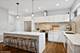 1633 N St Louis, Chicago, IL 60647