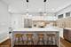 1633 N St Louis, Chicago, IL 60647