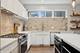 1633 N St Louis, Chicago, IL 60647