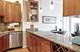 1355 W Washington Unit 4A, Chicago, IL 60607
