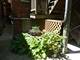 5521 N Glenwood Unit 3, Chicago, IL 60640