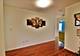 4611 Jenna, Glenview, IL 60025
