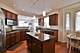 4611 Jenna, Glenview, IL 60025