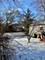 2001 Noyes, Evanston, IL 60201