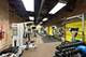 1727 S Indiana Unit 211, Chicago, IL 60616