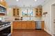 2947 N 77th, Elmwood Park, IL 60707