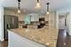 1328 Concord, Schaumburg, IL 60193