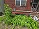 5022 S Laflin, Chicago, IL 60609