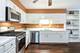 1149 Wheaton Oaks Unit 0, Wheaton, IL 60187