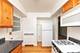 233 Custer Unit 2, Evanston, IL 60202