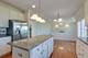 15 Open, Hawthorn Woods, IL 60047