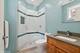1230 W Cornelia, Chicago, IL 60657