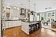 1230 W Cornelia, Chicago, IL 60657