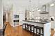 1230 W Cornelia, Chicago, IL 60657