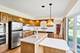 915 N Saratoga, Palatine, IL 60074