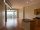 1305 S Michigan Unit 1702, Chicago, IL 60605