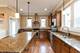 3137 S Throop, Chicago, IL 60608