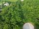 7106 Forest Oak, Mchenry, IL 60050