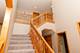 12808 W Timber, Homer Glen, IL 60491
