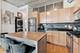 630 N Franklin Unit 1012, Chicago, IL 60654