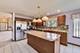 21436 W Larch, Plainfield, IL 60544