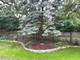 5814 Wolf Unit B-2, Western Springs, IL 60558