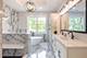 1418 W Maude, Arlington Heights, IL 60004